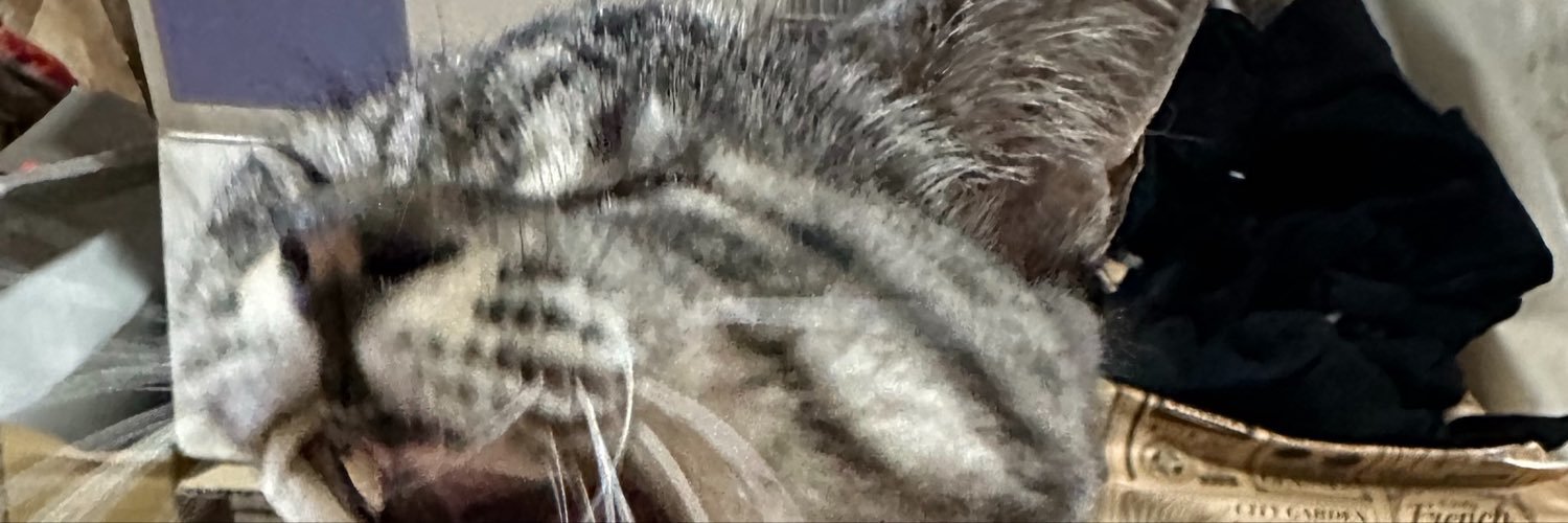 fjo_to's profile banner image