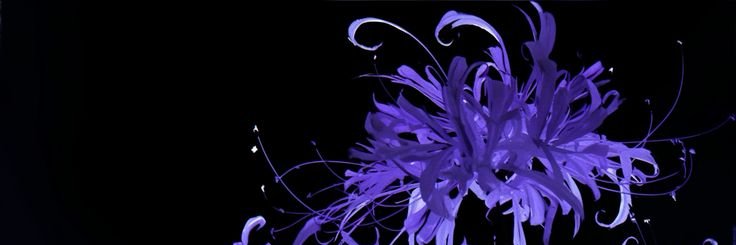 AstroPortuges's profile banner image