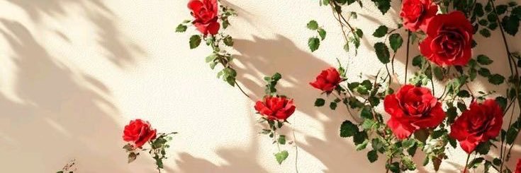 strawberrym00d's profile banner image