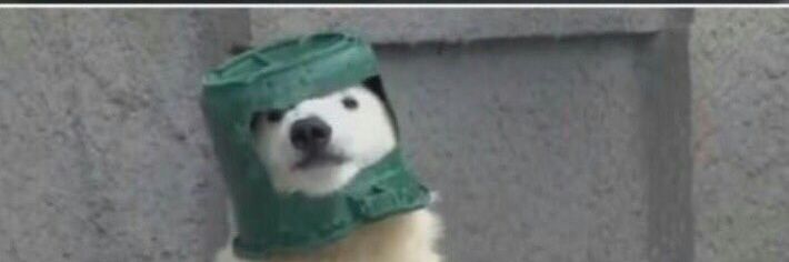 Ajak Kokak Itik Serati banner