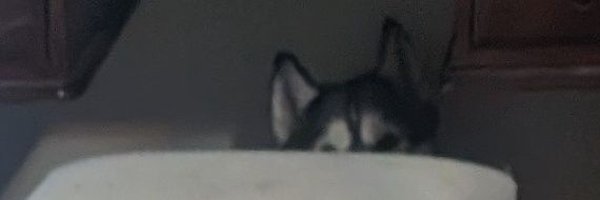 wcsims85 Profile Banner