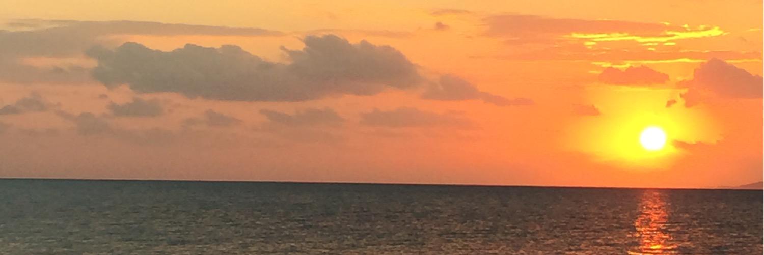 daYsda's profile banner image