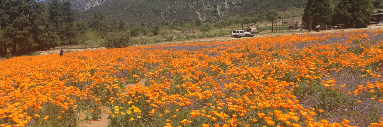 Reva Bloom , PhD 🌵💙🇮🇱🇮🇷 banner