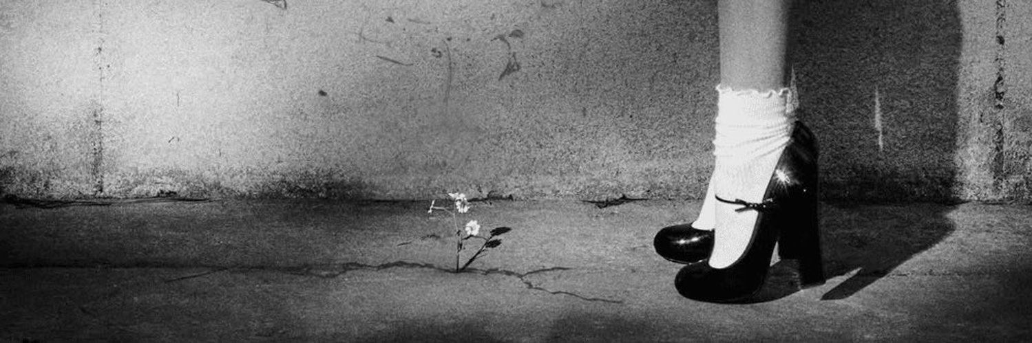 pamelacuc_'s profile banner image