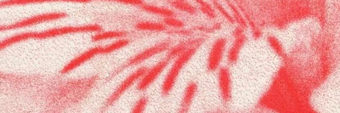 BonaBru's profile banner image