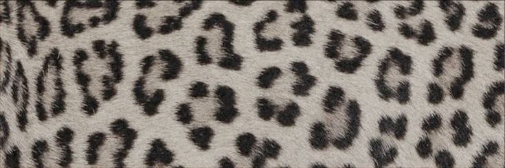 matias banner