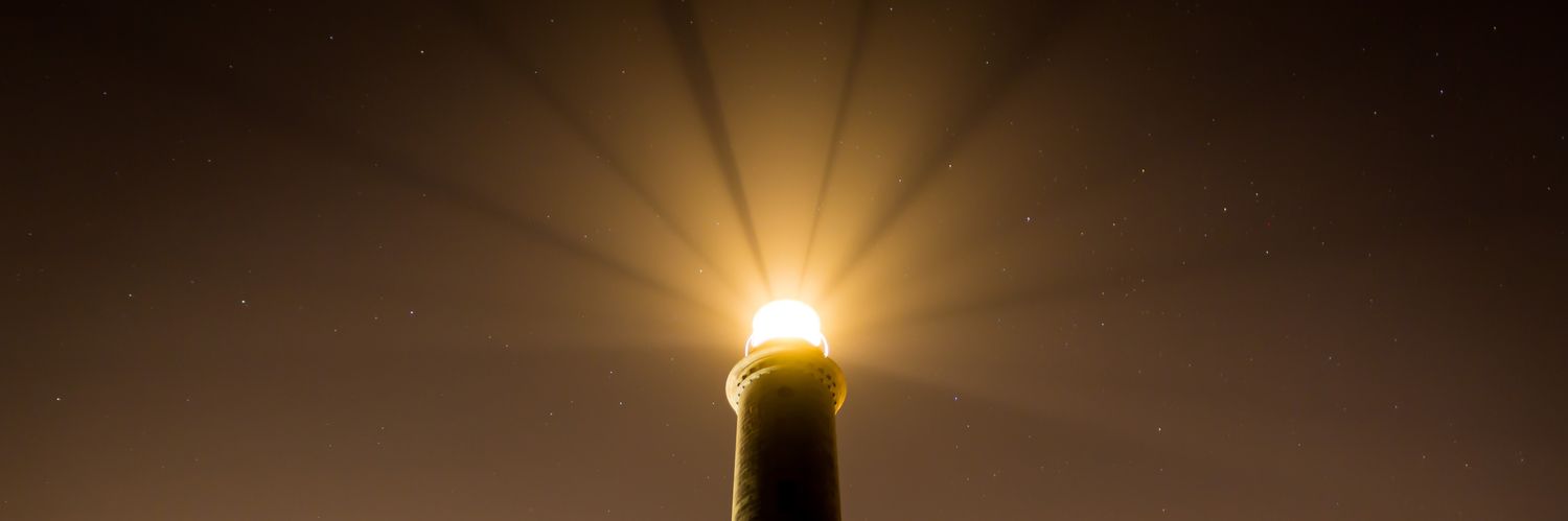 Slay The Predators banner