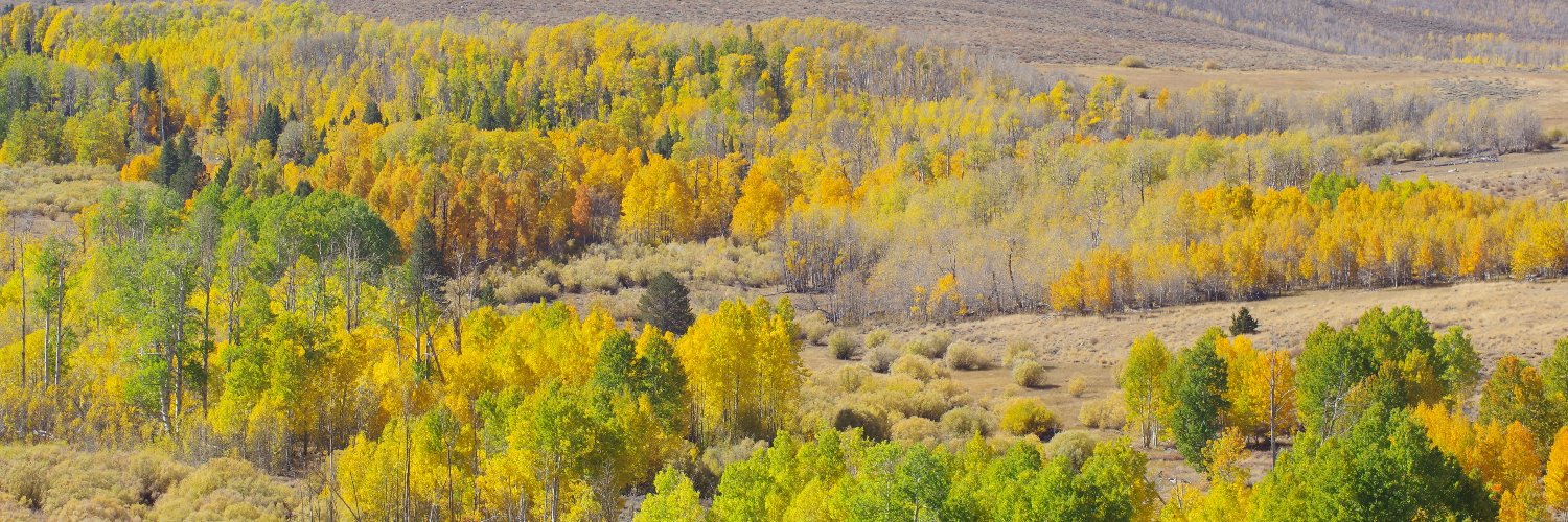 Kevin Rushton banner