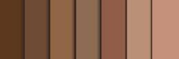 anshikastwt Profile Banner