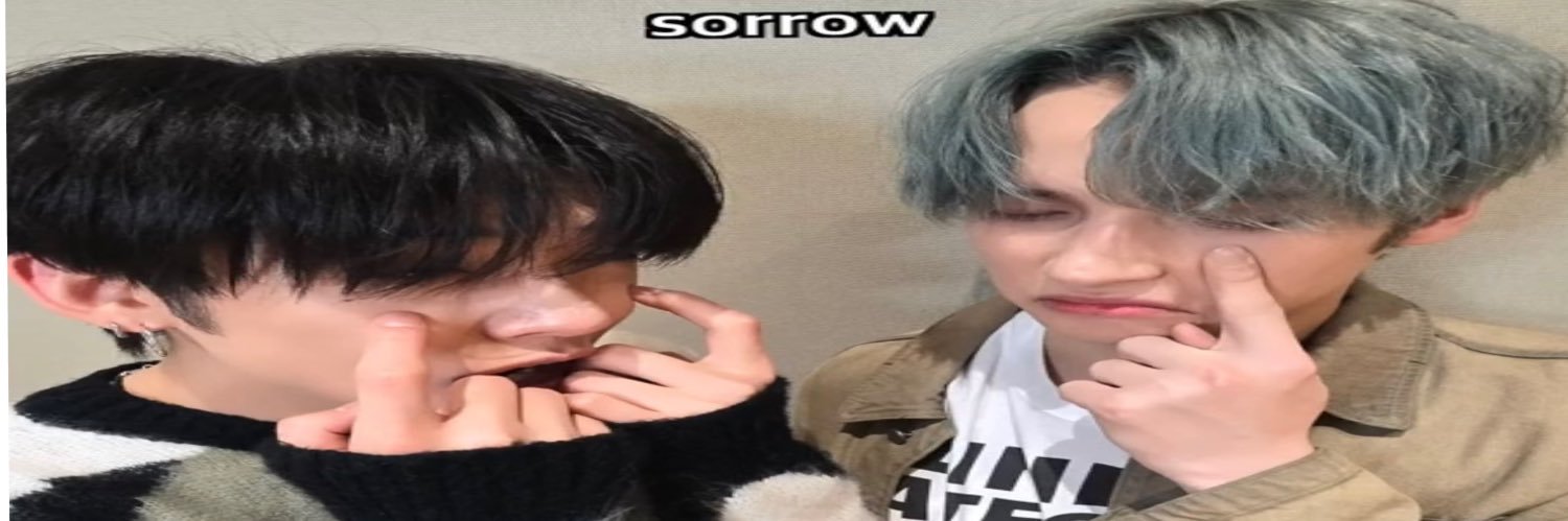 🪿 banner