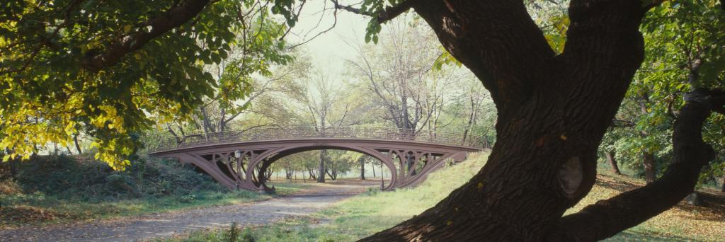 CentralPark.org banner