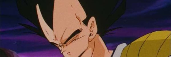 erbrobruh Profile Banner