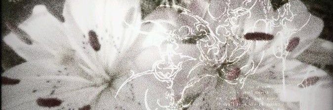 m4rsssi's profile banner image