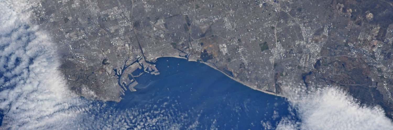 Mark W. Taylor banner