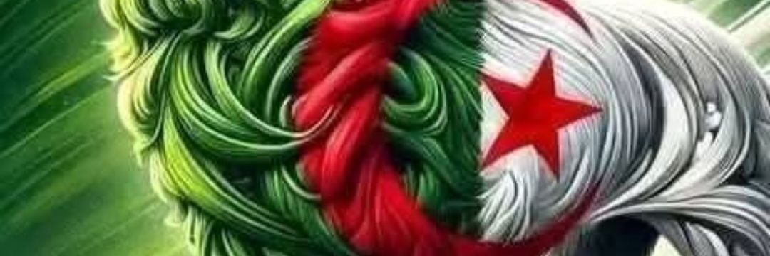 samia meliani's banner