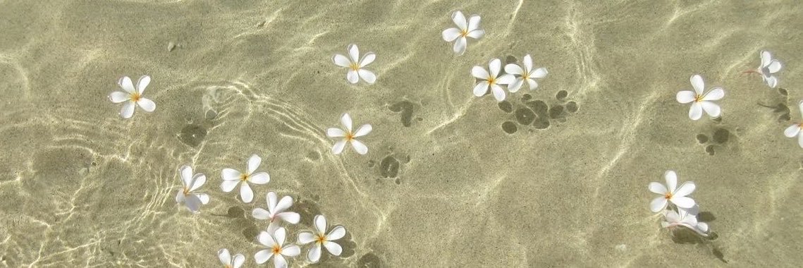 ahadl3's profile banner image