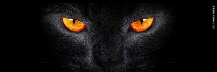 𝕊𝔼𝔾𝔸 ℙ𝕆ℕ𝔾𝔾𝕆𝕃⚡💫 banner