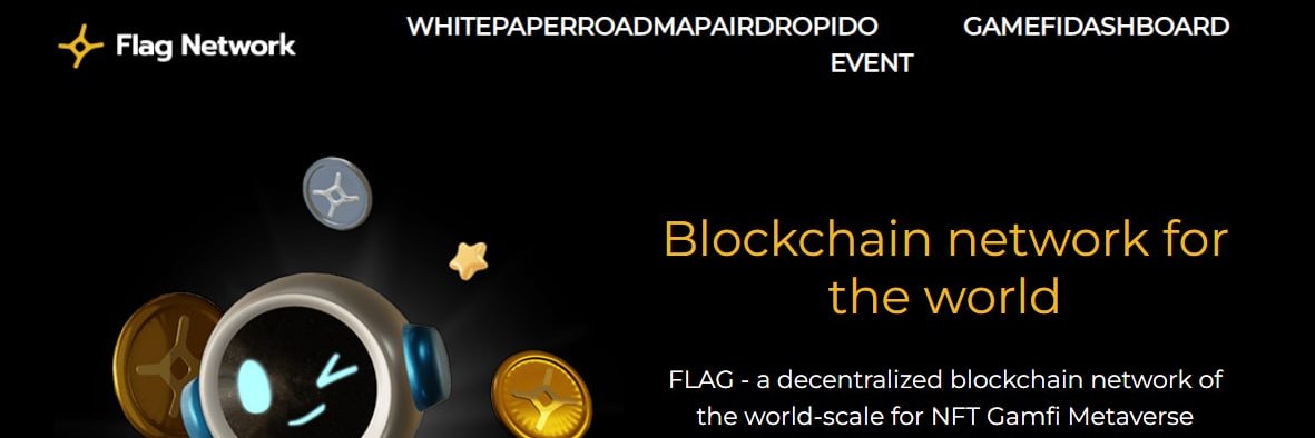 Flag Network Official banner