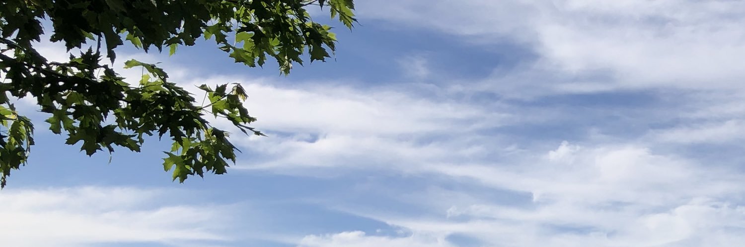 cantankerous sort banner