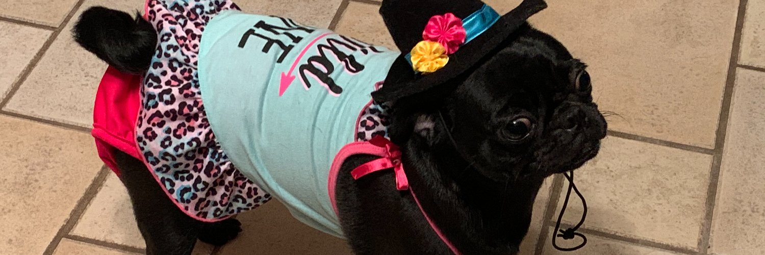 gilbikd007's profile banner image