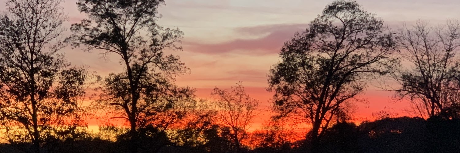 RobinMonserrat's profile banner image