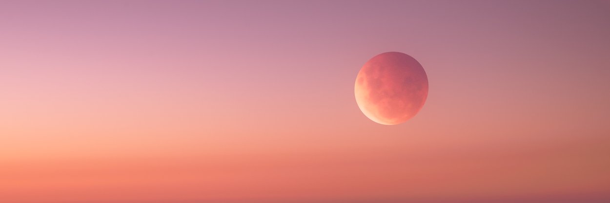 RandalMc5's profile banner image