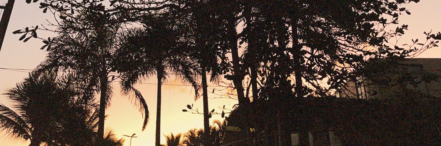 Louiizf's profile banner image
