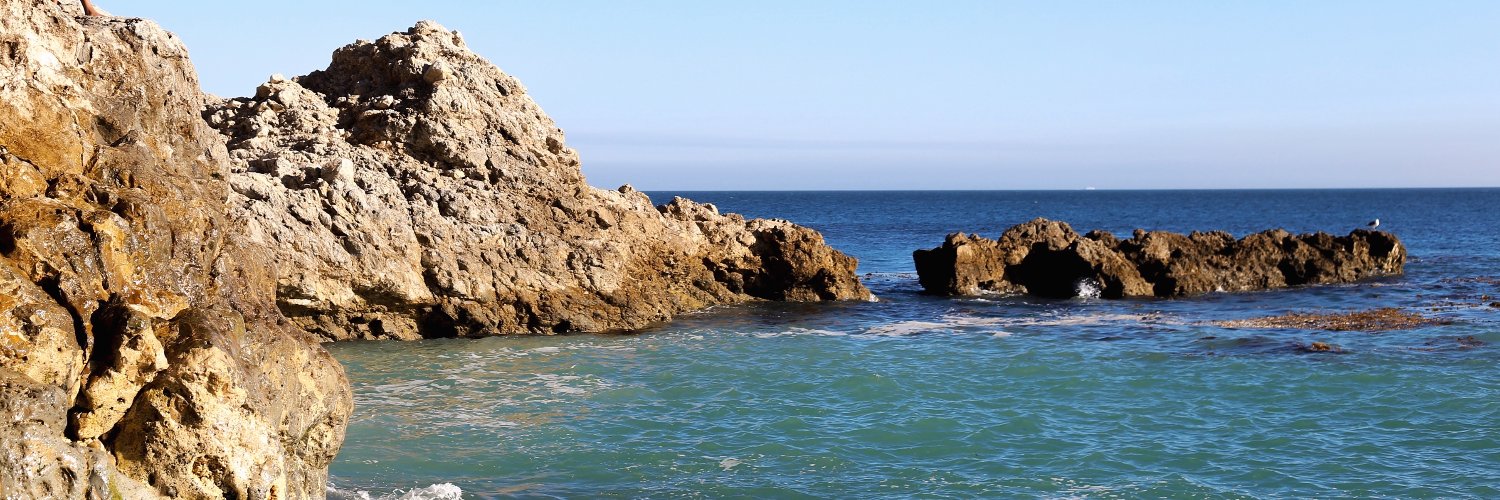 Lisa D'Souza, M.D. banner