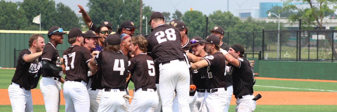 Richland Thunderducks Baseball banner