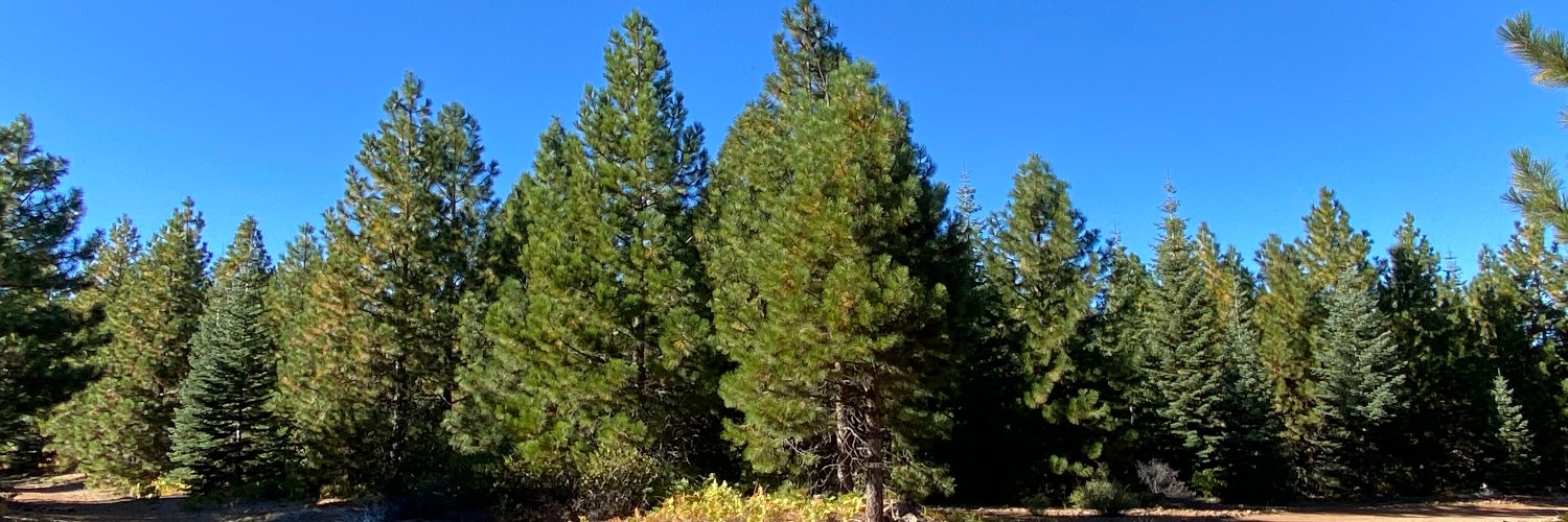 Mr. Ted Silberstein banner