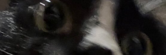 hypnosisjones's profile banner image