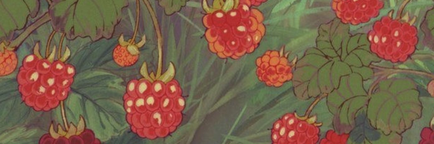 _candacesmith's profile banner image