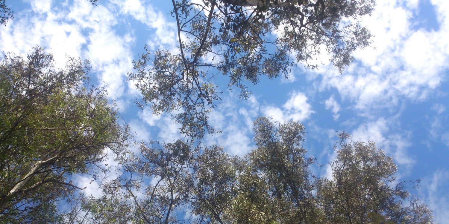 ReneJuares's profile banner image