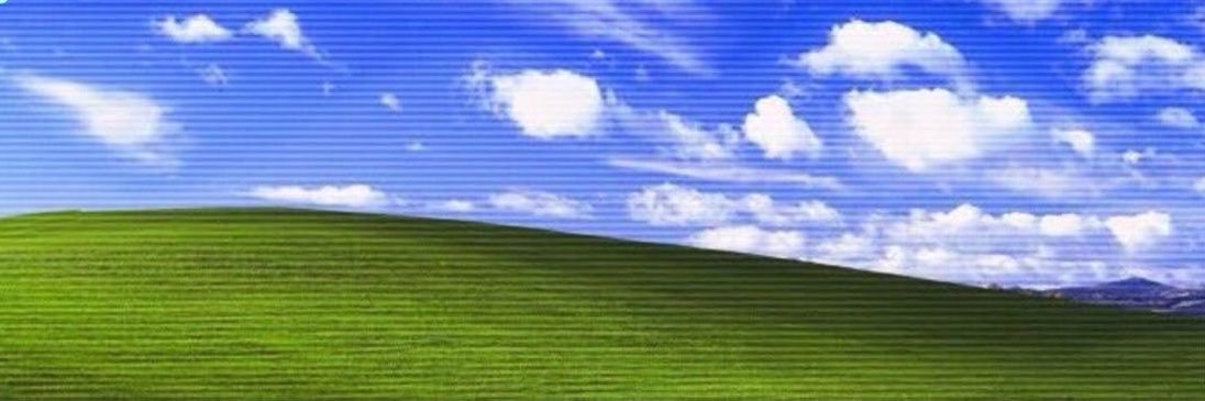sophia banner