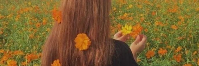 W5Qdr3i's profile banner image