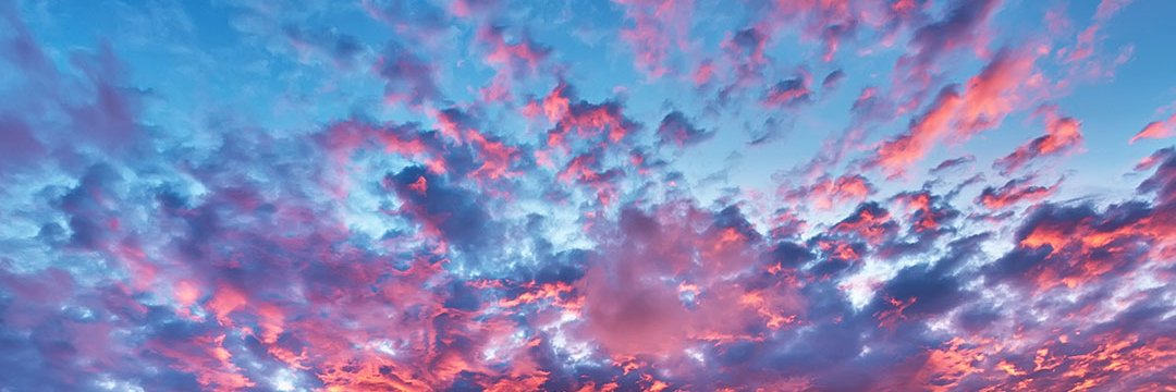 perpetumobile 💪🌶 banner