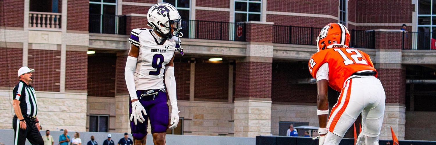 Robert Haynes banner