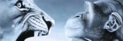 IceyyyySpice's profile banner image