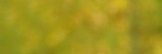Renate74252012's profile banner image
