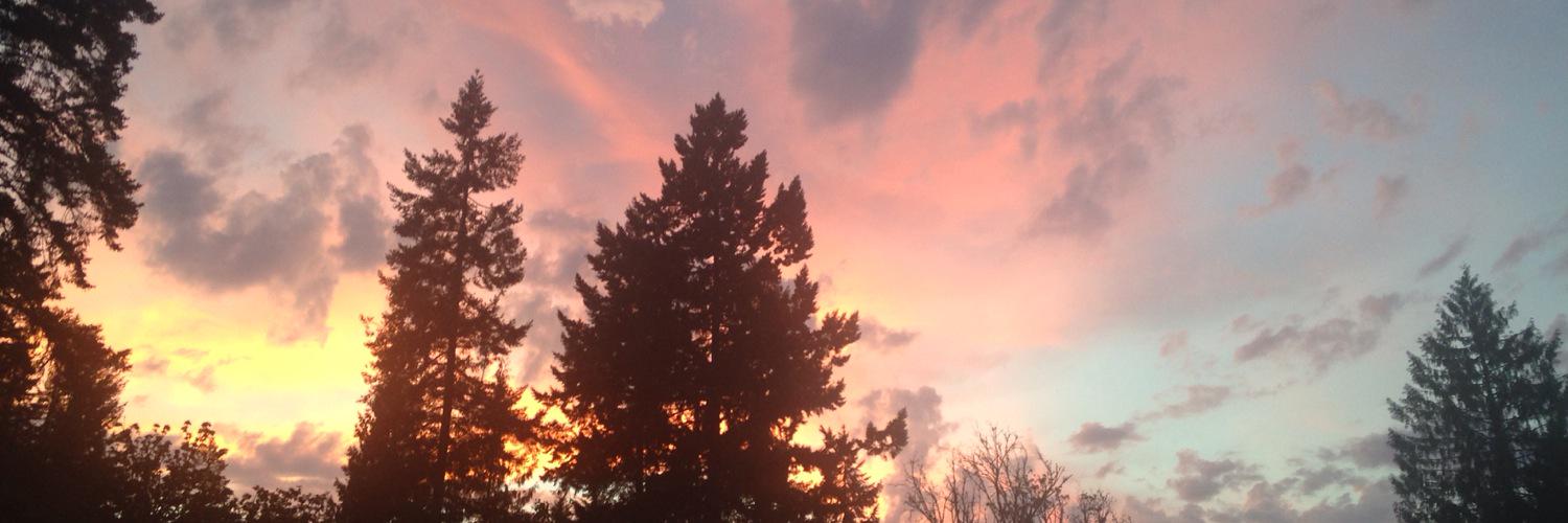 jf_tlitt's profile banner image