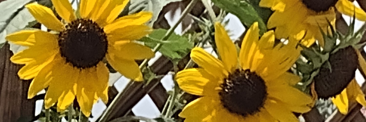 Kymberlycellar's profile banner image