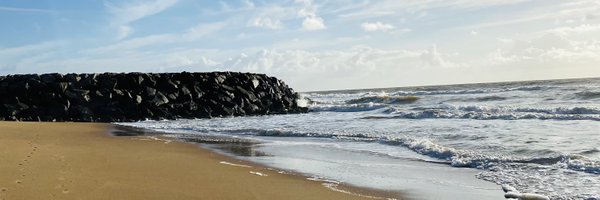 alxbenevides Profile Banner