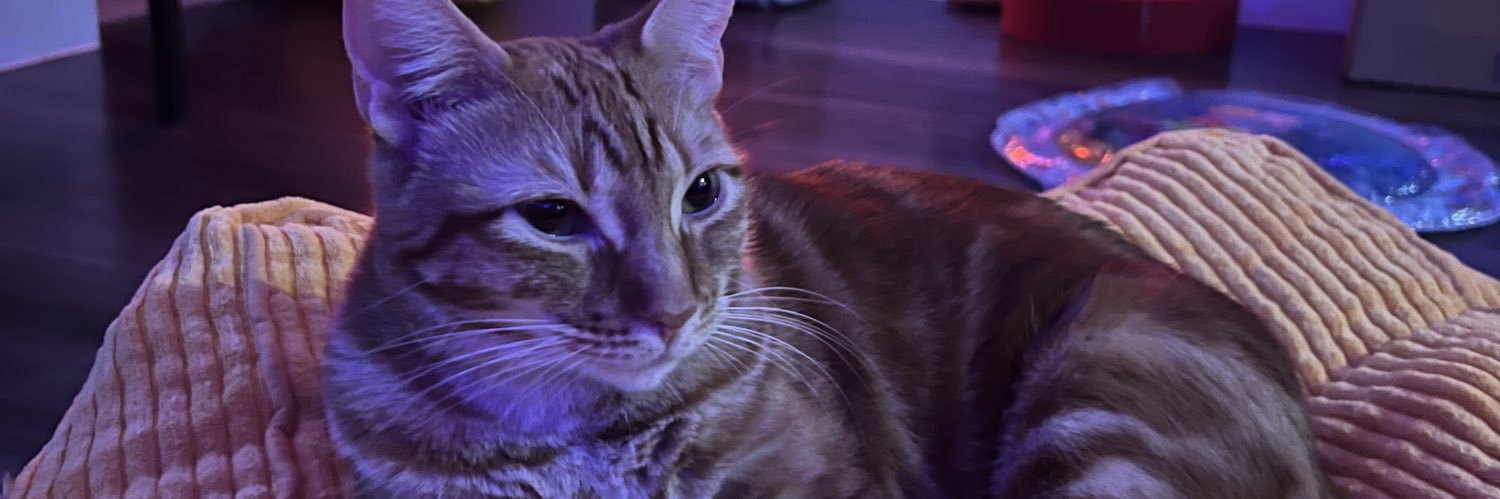 sunnnypal's profile banner image