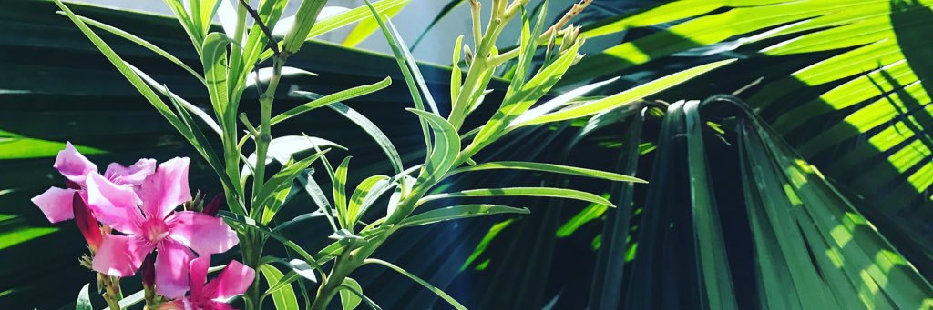 AfroBadass's profile banner image