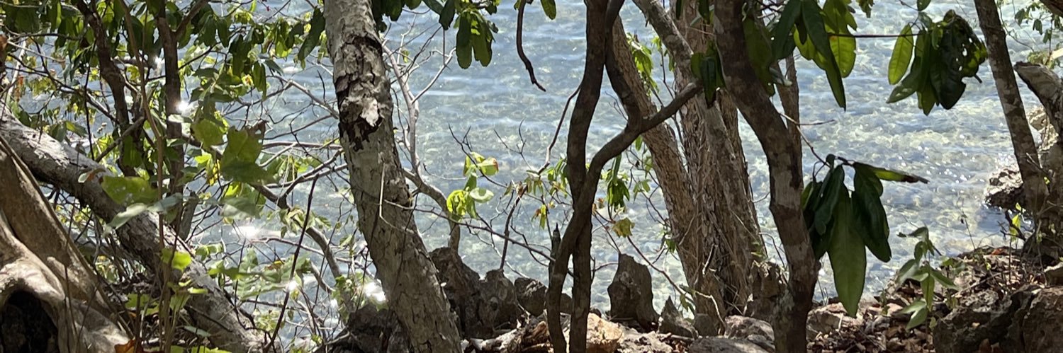 shaloomrazade's profile banner image
