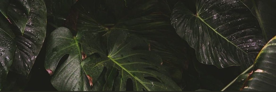 Jdiantra's profile banner image