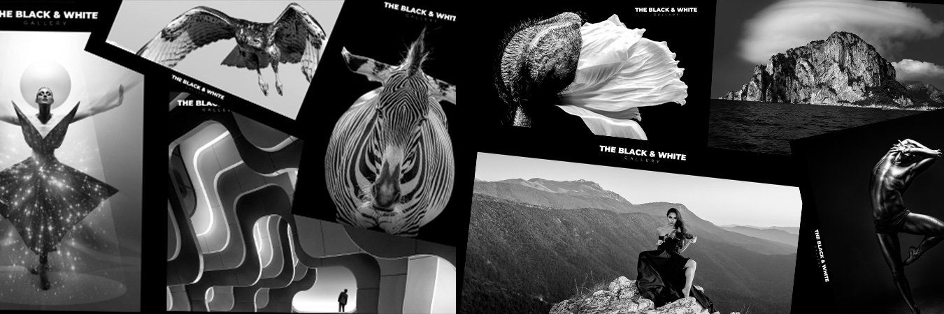 bandwgallery's profile banner image
