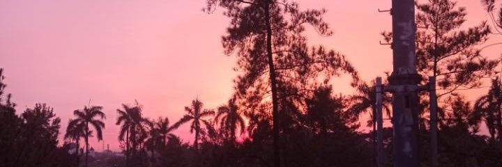 viii🌷 banner