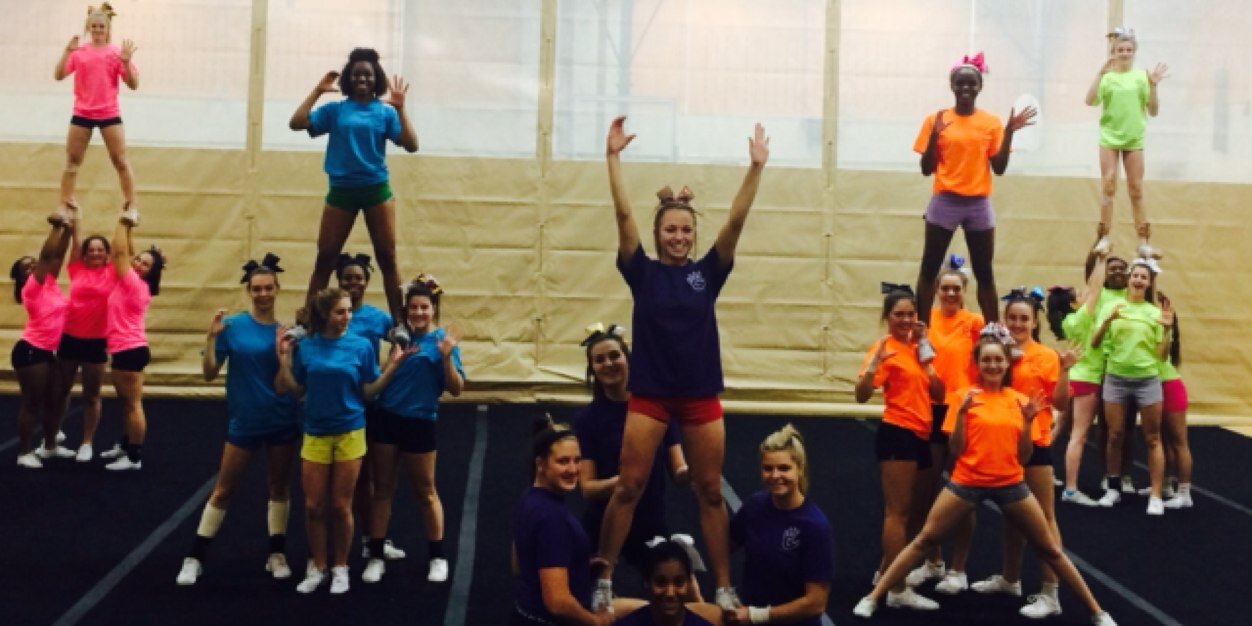 Cobra cheer banner
