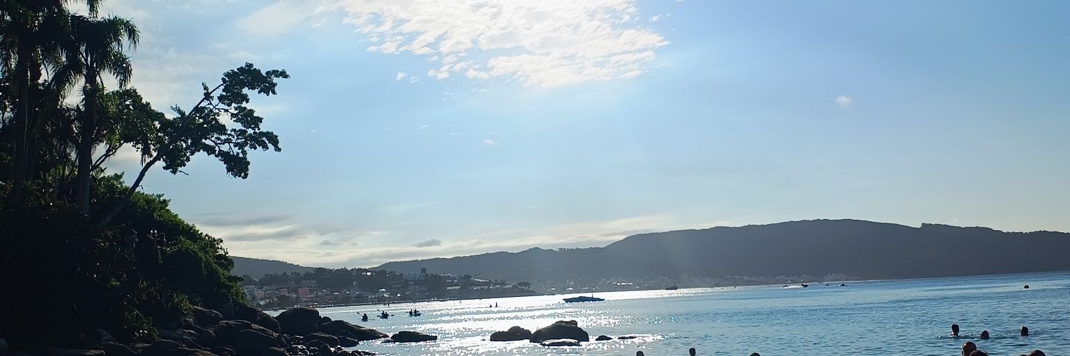 1905_RoCastro's profile banner image